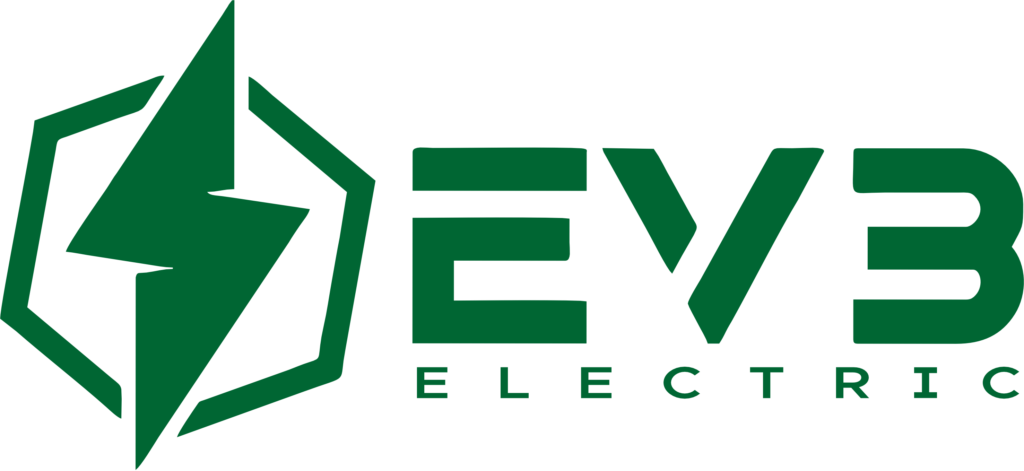 ev3africa.com